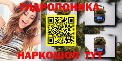 2c-b Будённовск