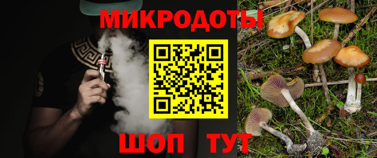 Псилоцибиновые грибы GOLDEN TEACHER Ливны