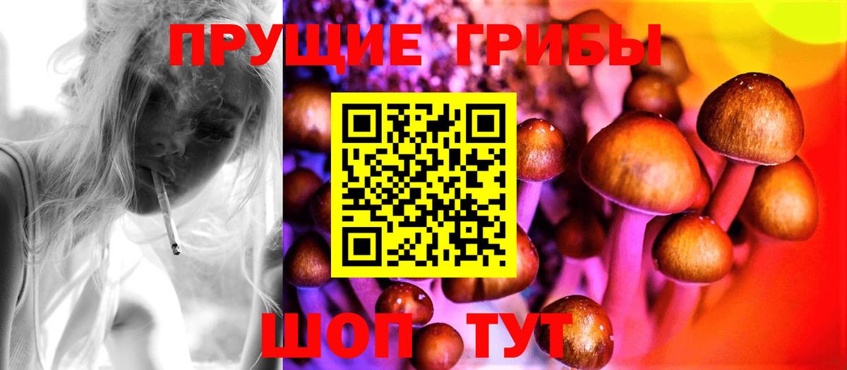 Ливны  Галлюциногенные грибы мухоморы  где можно купить   Галлюциногенные грибы прущие грибы  Вход с VPN 